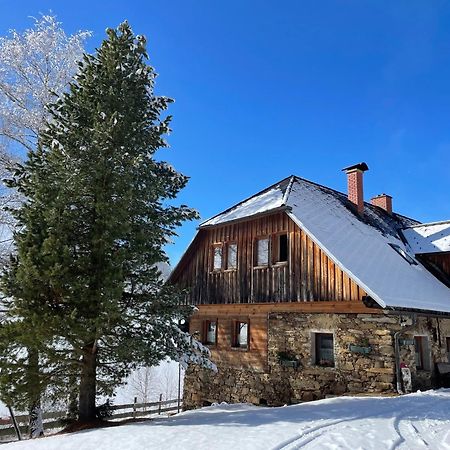Apartments Im Almhaus Bachler Gundisch 外观 照片
